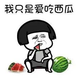 娱乐吃瓜爽  第1张